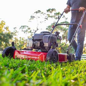 Hyper Tough lawn mower under 100 dollars