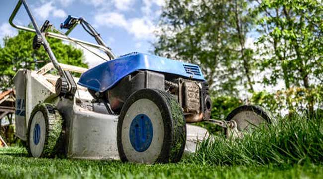 best lawn mower under 100 dollars