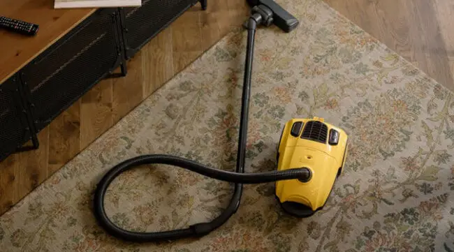 carpet cleaning tips